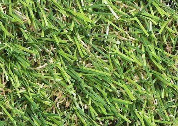 Modelo cesped artificial Elami bg
