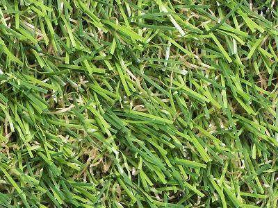 Modelo cesped artificial Elami