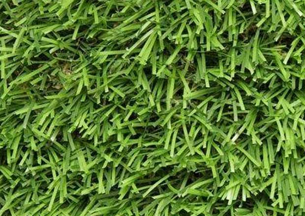 Modelo cesped artificial Lituania bg