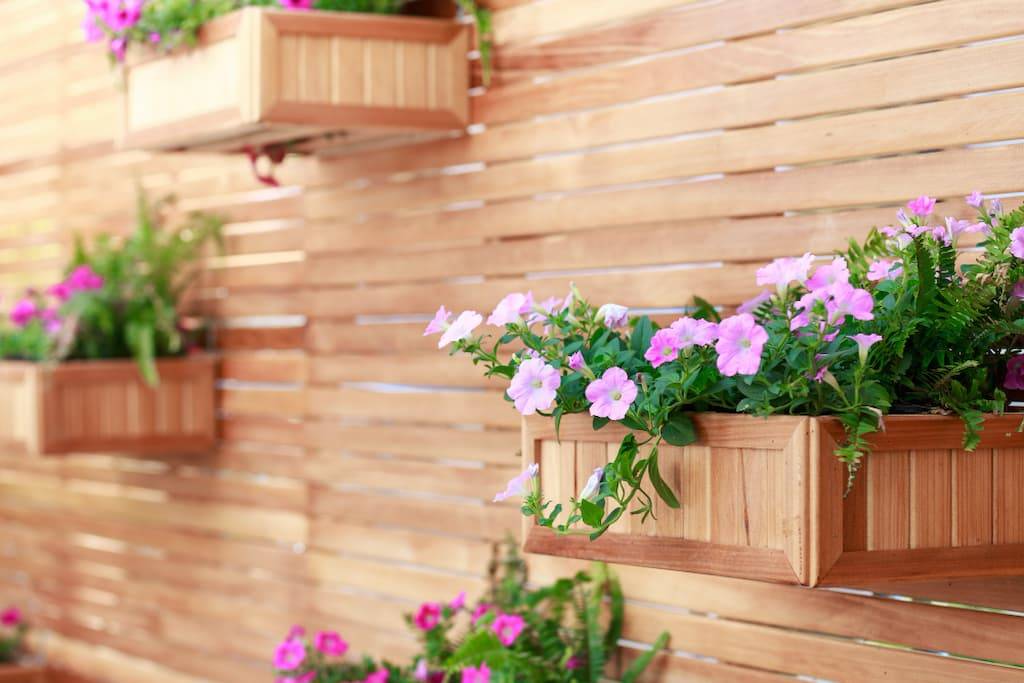 terraza con jardineras