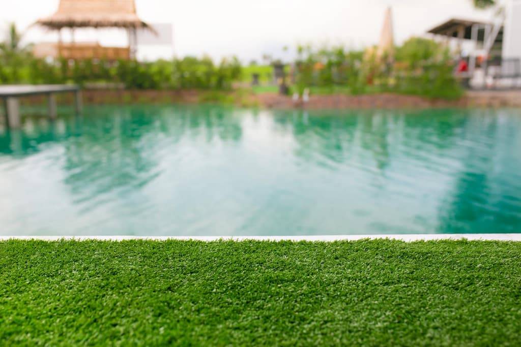 cesped alrededor piscina