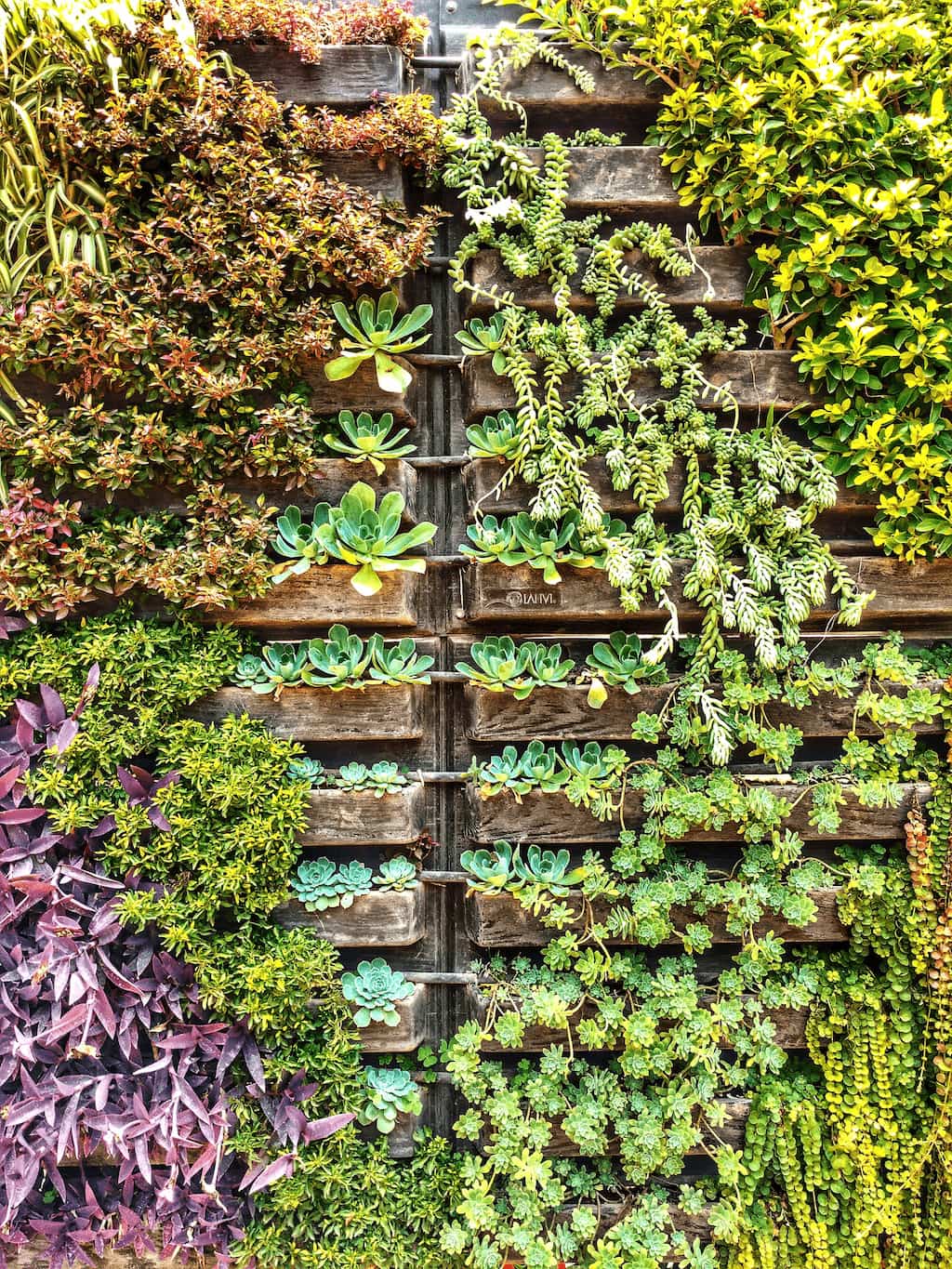 jardin vertical